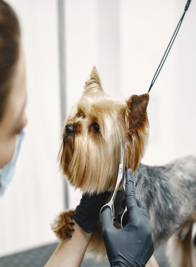 اف سي واي اس واي مقصّات تزيين الكلاب بطول 4.5 بوصة برؤوس دائرية آمنة، مقصّات Fcysy لتقليم شعر الحيوانات الأليفة الصغيرة للوجه والعينين والأذنين والأنف والكفوف، مقصّات احترافية لتزيين الجراء من الكلاب والقطط - وردي - Image 5